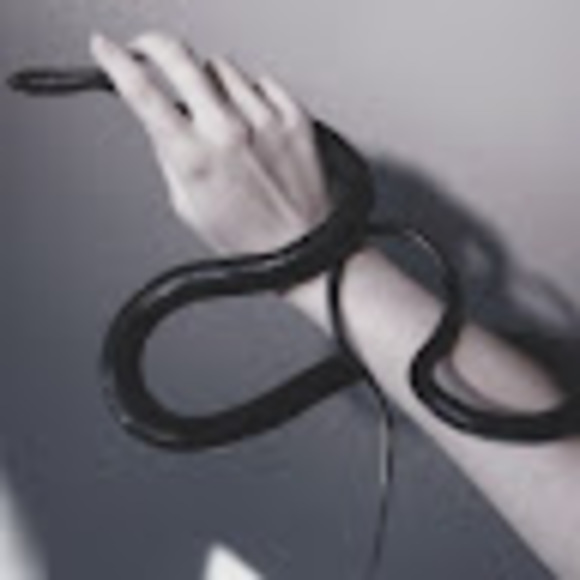 Meet your Posher, Viktor - Picture 1 of 1